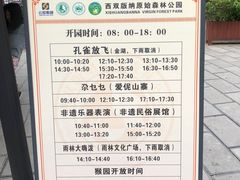 -西双版纳原始森林公园