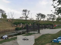 -羊山湖公园