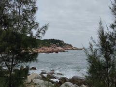 -广东惠东海龟国家级自然保护区