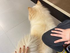 -肆兮眼镜·蔡司·徕卡战略合作店(大坪店)