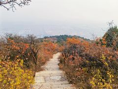 -北京西山国家森林公园