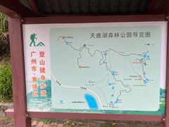 -天鹿湖森林公园