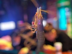 -钳真多钓虾馆·小龙虾海鲜烧烤(九六广场店)