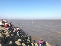 -南汇嘴观海公园