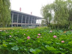 -常州奔牛国际机场