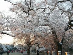-北陵公园