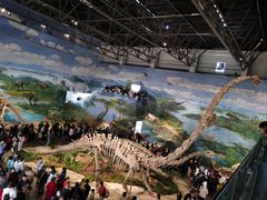 -自贡恐龙博物馆