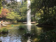 -九龙公园