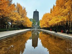 -玲珑塔公园