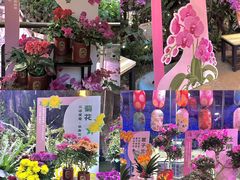 -正佳雨林生态植物园