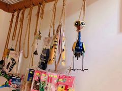 -爱雪貂安哥鲁宠物貂专卖店(天通苑店)