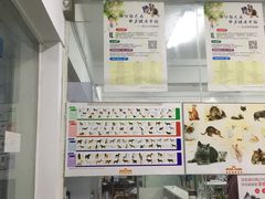 -成都民大动物医院