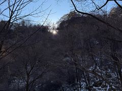 -少华山国家森林公园