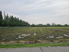 -嘉北郊野公园