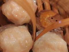 -金鼎轩(方庄天坛店)