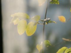 -默迹咖啡馆