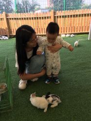 -萌宠亲子动物乐园(槐房万达店)