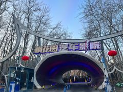 -枫花园汽车电影院(朝阳公园店)