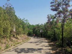 -府君山公园