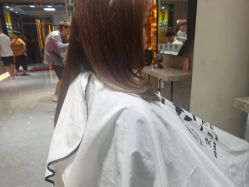 -可可丽舍