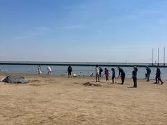 -碧海金沙