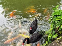 -珠海圆明新园