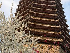 -玲珑塔公园