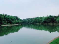 -象山森林公园
