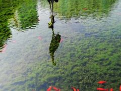 -苏州河梦清园环保主题公园