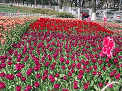 -玄武湖景区-情侣园游乐场