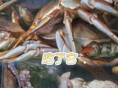 -范饭椰林川湘味海鲜·椰子鸡(三亚湾椰梦长廊店)
