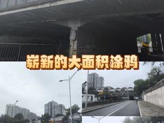 -知春路(地铁站)