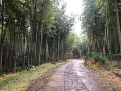-黄公望隐居地