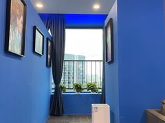 -浣熊部落ps4 ps5 switch 电玩(茶店子店)