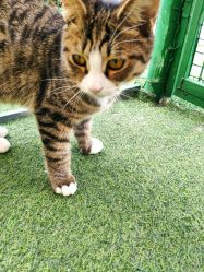 -萌宠亲子动物乐园(槐房万达店)