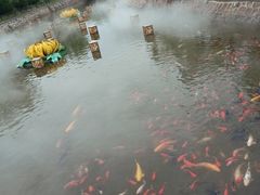 -清明上河园-迎宾门售票处