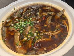 -情妹耙泥鳅·江湖川菜(科华店)