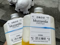 -白色日记·手作酸奶(麦凯乐店)