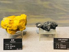 -甘肃地质博物馆