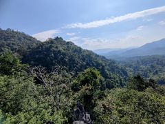 -中国科学院西双版纳热带植物园
