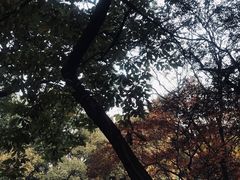 -绮园景区