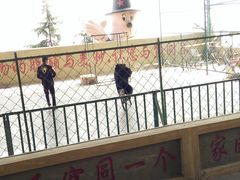 -东方熊牧场