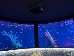 -沈阳海洋探索中心