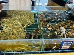 -阿毛饭店·宁波老字号(儿童公园旗舰店)