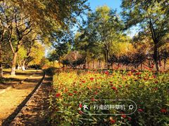 -永定河休闲森林公园