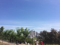 -小绿谷公园