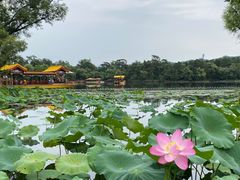 -承德避暑山庄景区