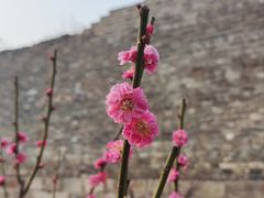 -北京明城墙遗址公园