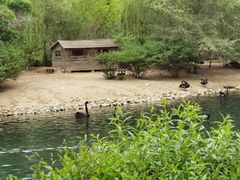 -长白岛森林公园