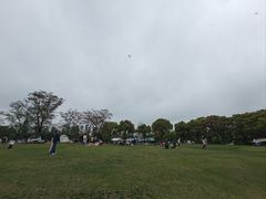-上海滨江森林公园